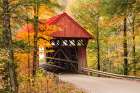USA-Vermont-Stowe-Sterling Valley Road covered bridge in fall foliage Art Print